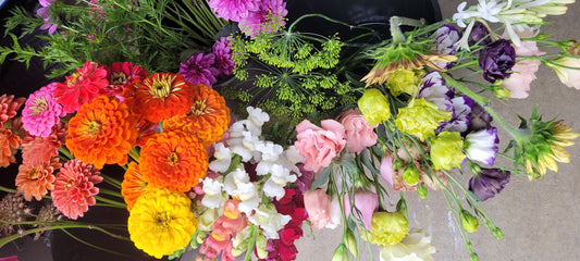 Harvest bucket of flowers